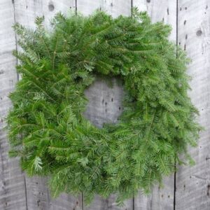 22" Undecorated Balsam Wreaths - Box of 5-0